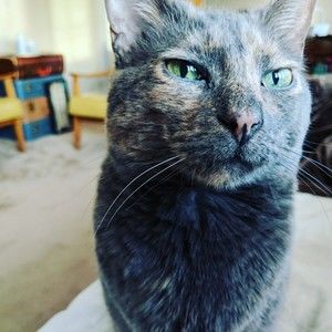 Meet your Posher, Katherine